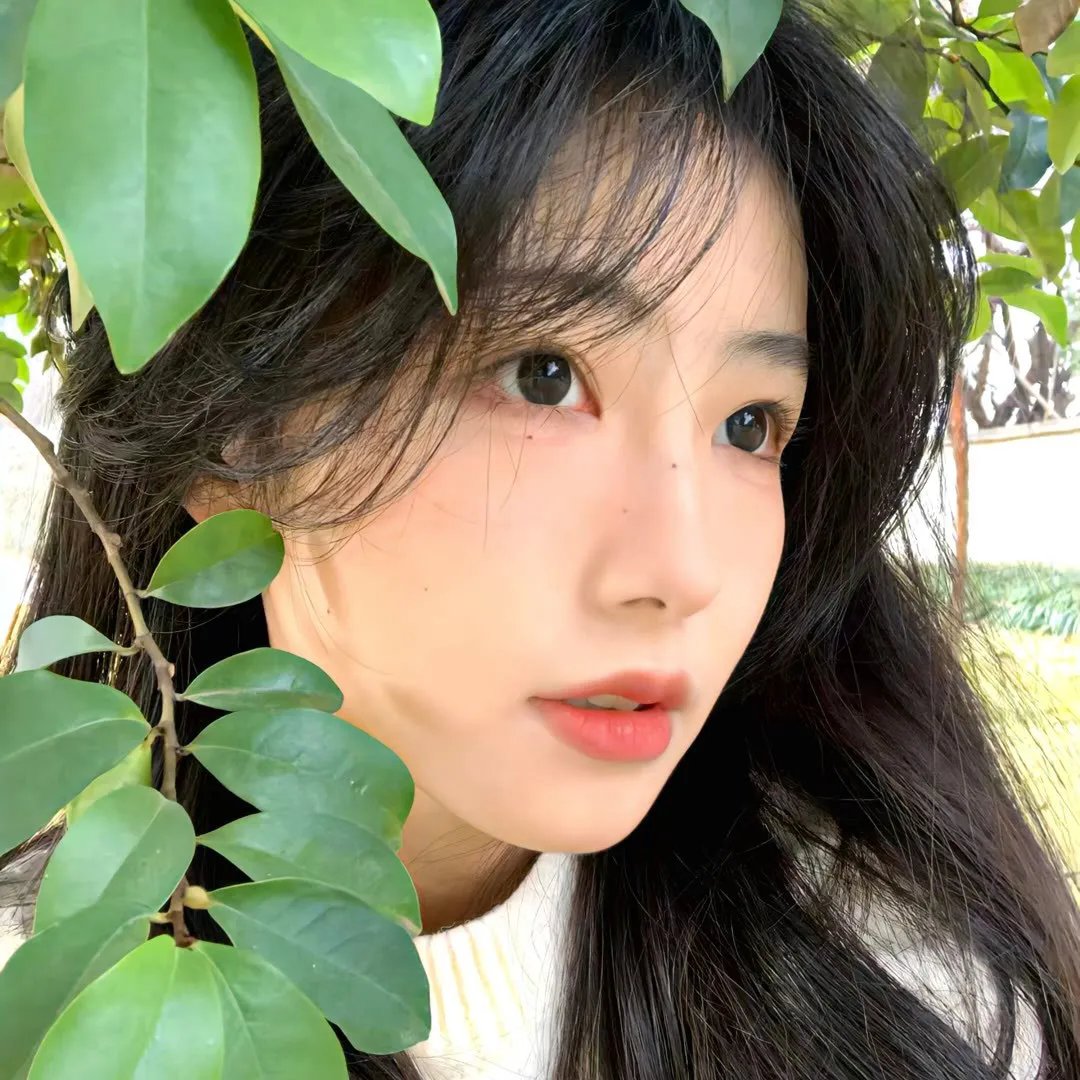 吉什岛的故事
